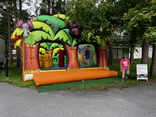 Dzungel - Image 5