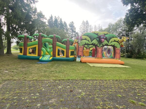 Palmisaar - Image 5